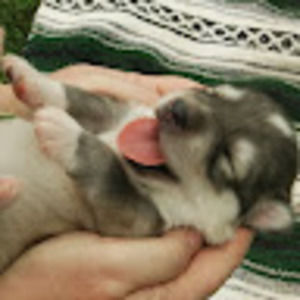 Meet your Posher, Kate